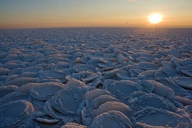 Блинчатый лёд на Онежском озере лёд, озеро, природа
