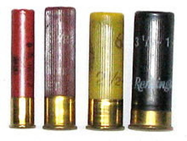 Слева направо: патроны 410, 32, 16 и 12 калибров