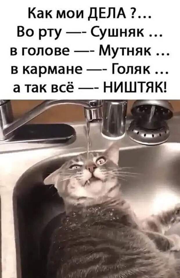 Алкопост на вечер этой пятницы