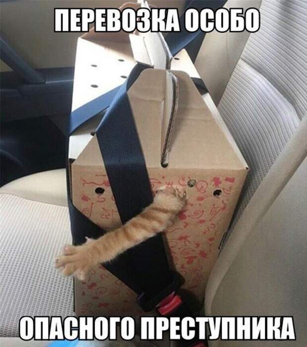 Опасный преступник ) Опасный преступник )