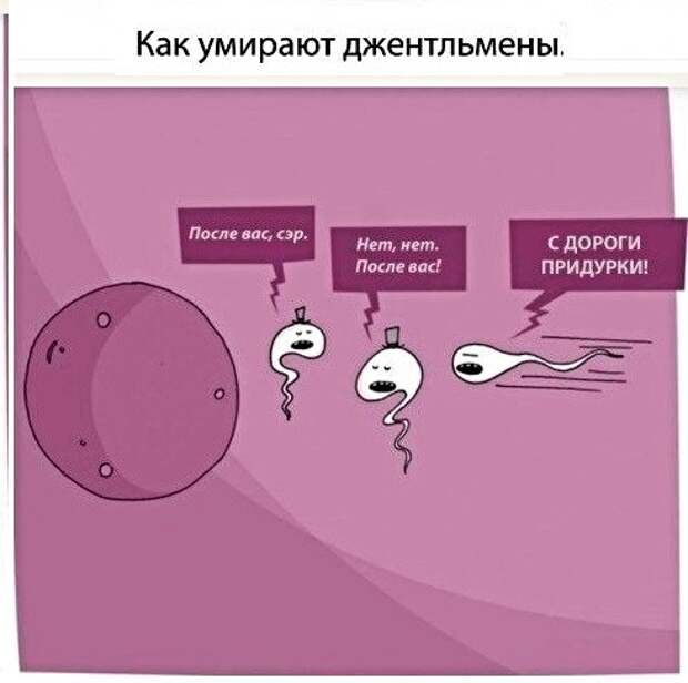 Картинки с надписями, истории и анекдоты