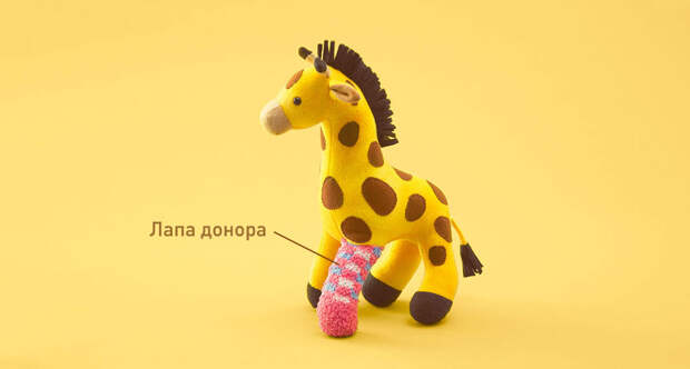 starym-igrshkam-prishivayut-novye-konechnosti