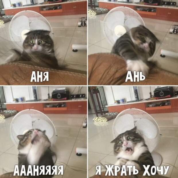 Смешные и не очень
