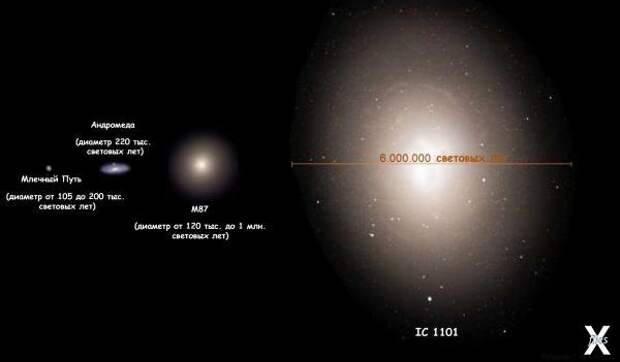 Сравнение размеров IC 1101 с размерам...