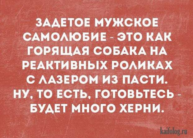 Смешные открытки (35 картинок)