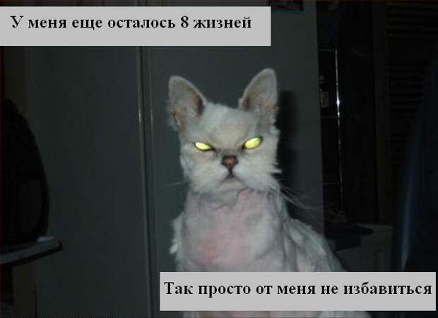 Мысли2 :) (50мыслей)