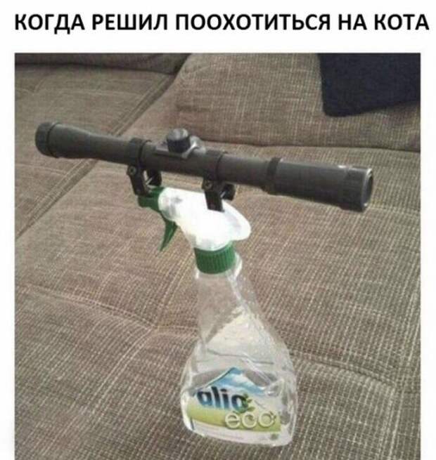 Новые прикольные фотомемы