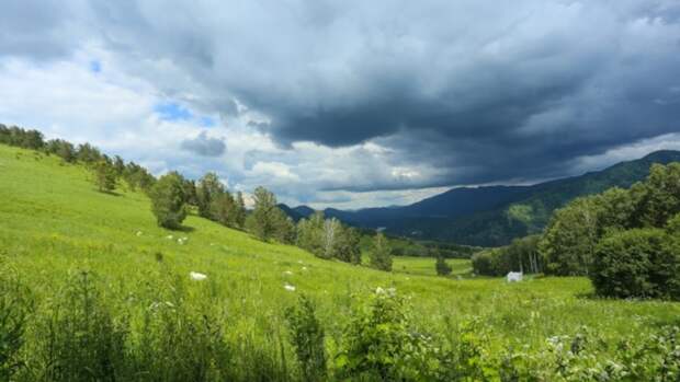 "В поисках Дао". Туристические маршруты для китайцев разработали на Алтае