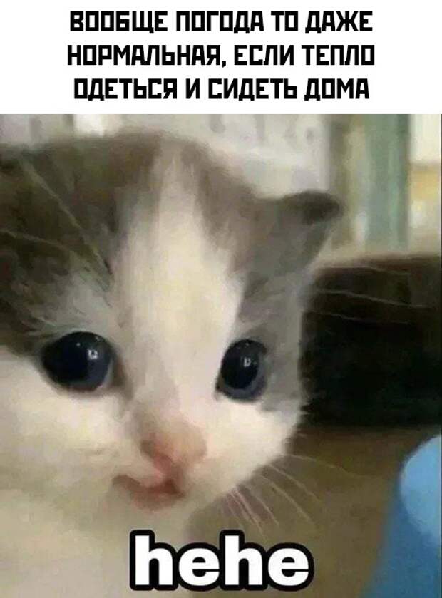Смешные картинки 14 декабря 2021 года