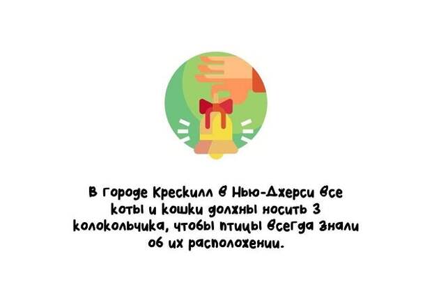 Подборка коротких интересных фактов на все случаи жизни