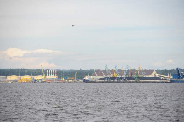 Дрозденко: в порту Усть-Луга ликвидируют возгорание, возникшее после атаки БПЛА