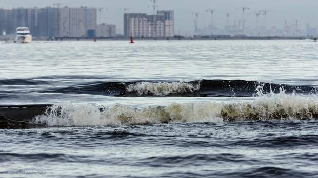 IMG_2413 (ресайз).jpg