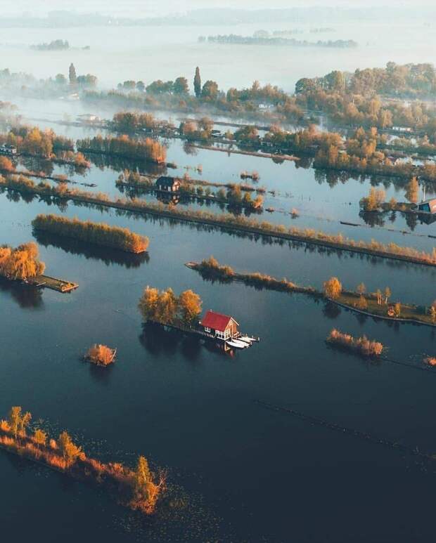 Подборка прикольных картинок