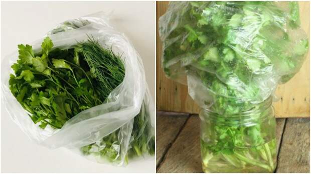 Опытные хозяйки используют разные способы хранения зелени в пакете, но они актуальные только при наличии холодильника / Фото: traktirsuzdal.ru