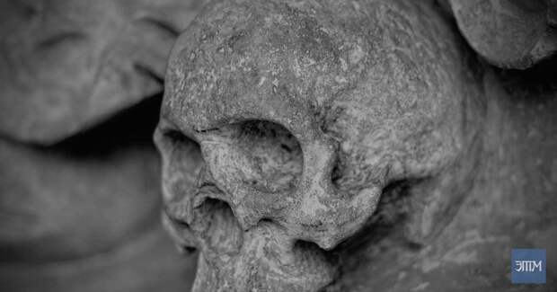 Древние скелеты: человечество намного старше, чем мы думаем