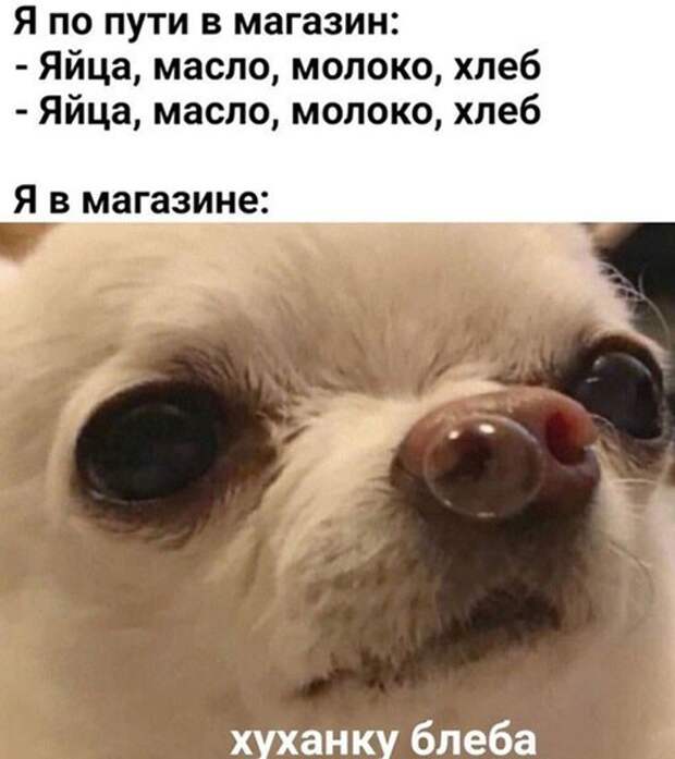 Прикольные и смешные картинки