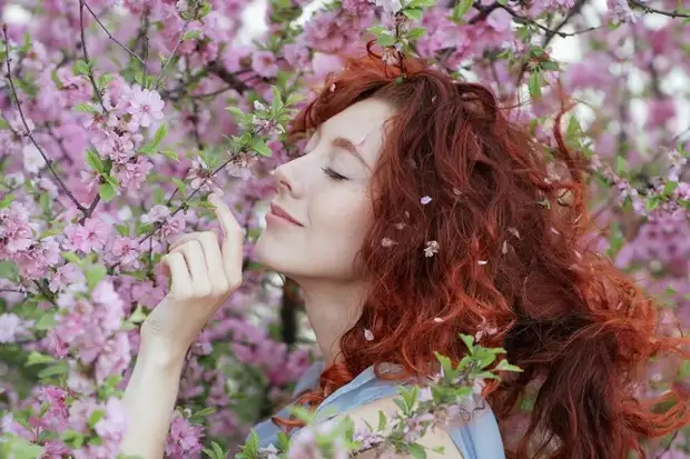 Как цветы и растения восстанавливают покой и утишают боль. Завтра 8 марта