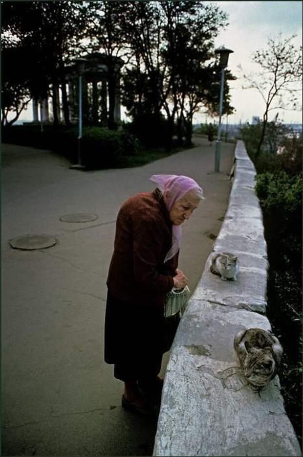 история, интересное, ссср, 1982, фото