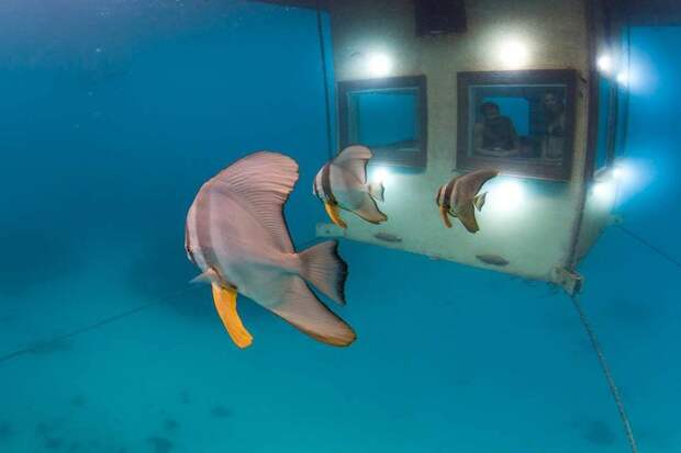 Первый подводный гостиничный номер в Африке underwaterhotel05 Первый подводный гостиничный номер в Африке