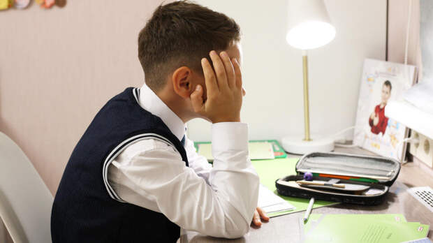 В Госдуме предложили облегчить домашние задания для школьников