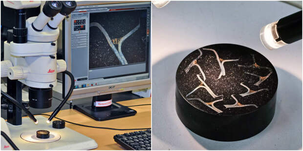 Для оценки качества пайки делают срезы шва и изучают их под микроскопом. Хорошо видно, что пайка соединяет детали встык, а не внахлёст.