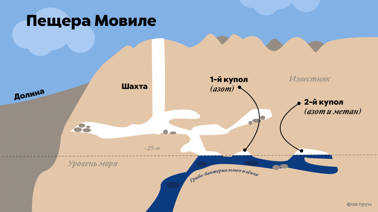 Пещера Мовиле и её уникальные обитатели, которых не встретишь больше нигде на Земле
