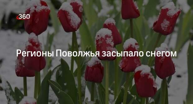 РИА «Новости»: в Татарстане, Чувашии и Удмуртии 3 мая выпал снег