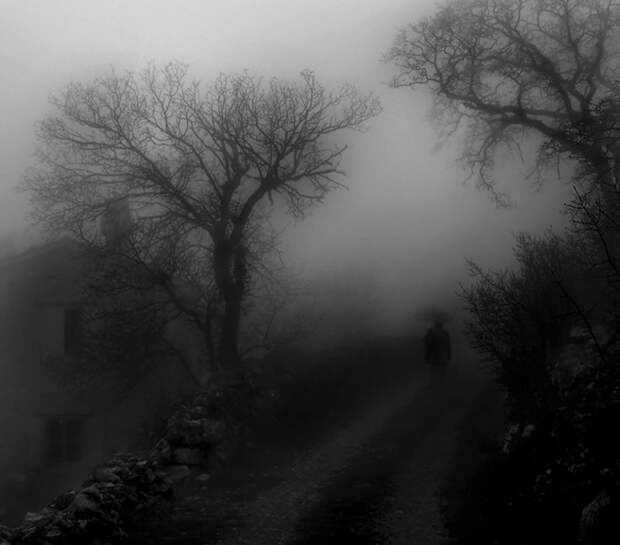 100 изумительных фотографий тумана (часть 1) 2016 100 изумительных фотографий тумана (часть 1)