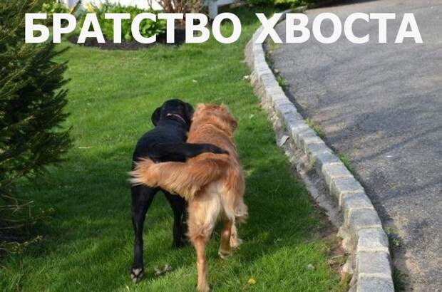 Веселые надписи к картинкам из жизни (10 фото) Веселые надписи к картинкам из жизни (10 фото)