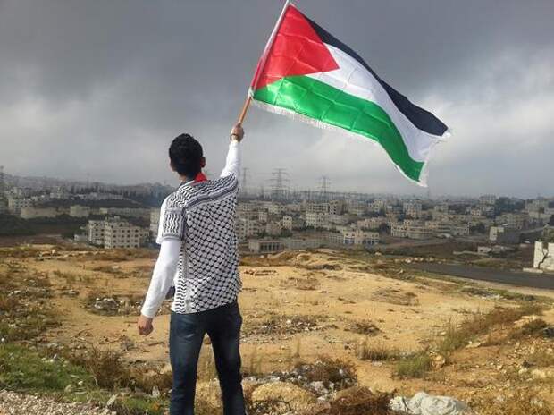 Ирландия официально признала Палестину независимым государством
