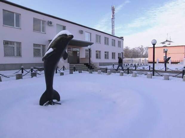 Как устроена одна из самых суровых тюрем России «Черный дельфин»