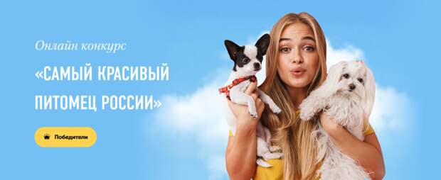 КОНКУРС "САМЫЙ КРАСИВЫЙ ПИТОМЕЦ РОССИИ". КОНКУРС БЕЗ КОНКУРСА , ИЛИ КАК ВСЕХ ОБМАНУЛИ.