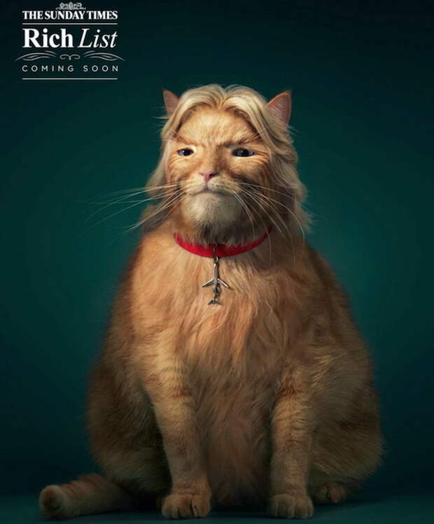 Жирные коты: пародийный проект от издания The Sunday Times