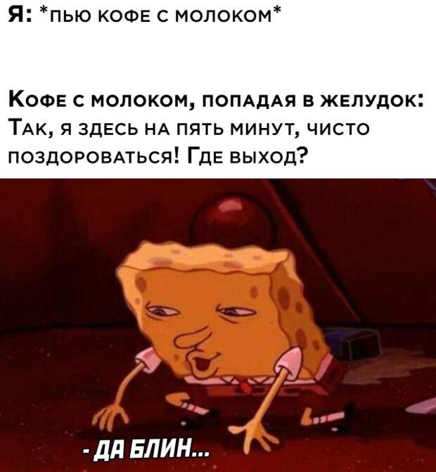 Смешные картинки 31 декабря 2021 года