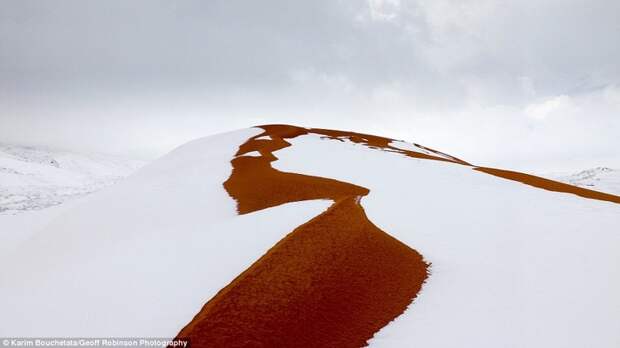 Песок Сахары и ослепительная белизна снега аномалия, сахара, снег