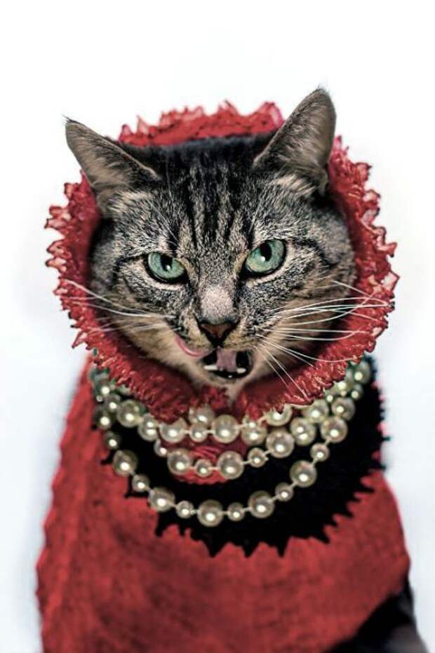 Дерзкая дворянка. Дерзкая дворянка.