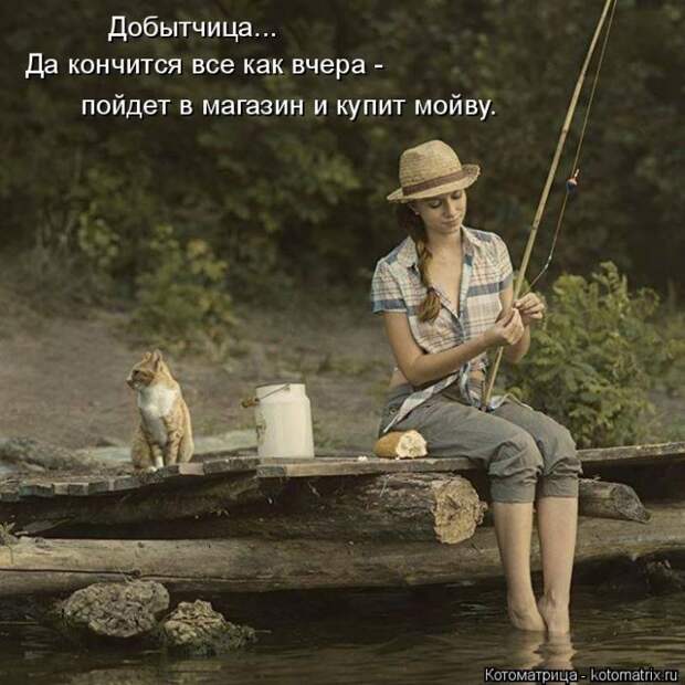 Лучшие котоматрицы недели (50 фото)