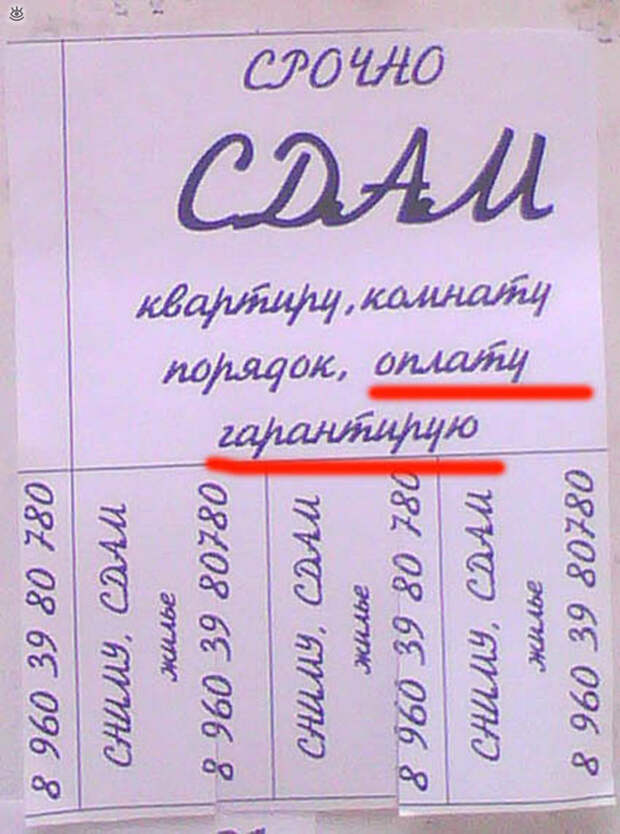 Смешные объявления, надписи, вывескм 0