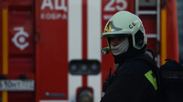 В Подольске огнеборцы спасли 2 человек во время пожара в квартире