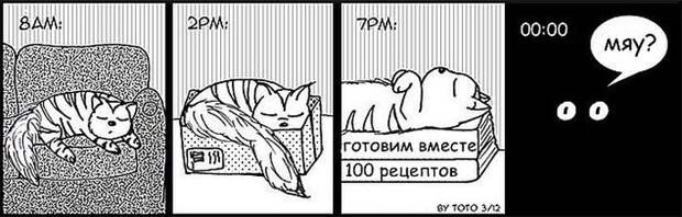 Проблемы жизни с котом в забавном комиксе (33 картинки)