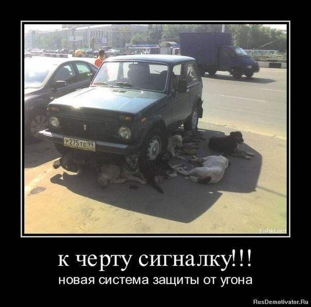 Немного автокартинок Немного автокартинок авто, автоприколы, прикол, юмор