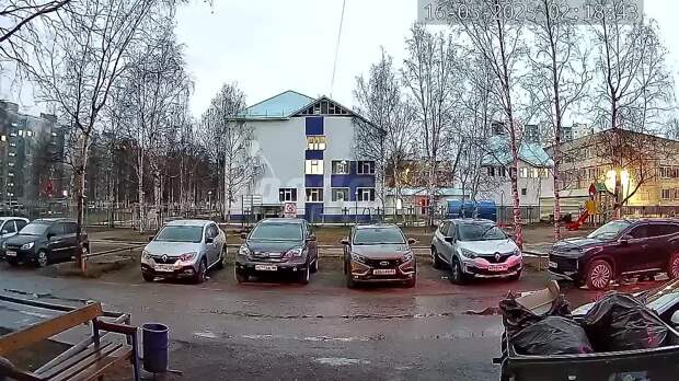 Video: мигрант.mp4
