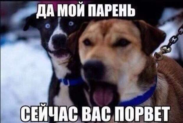 Картинки с надписями Картинки с надписями