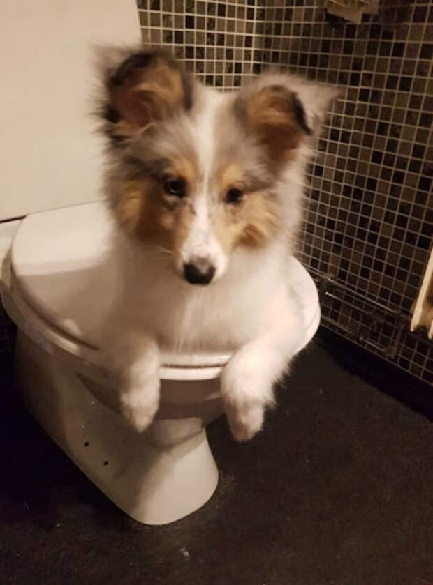 Что здесь происходит? | Фото: Reddit.