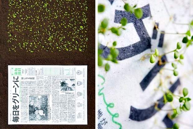 Уникальные газеты, из которых прорастают растения.