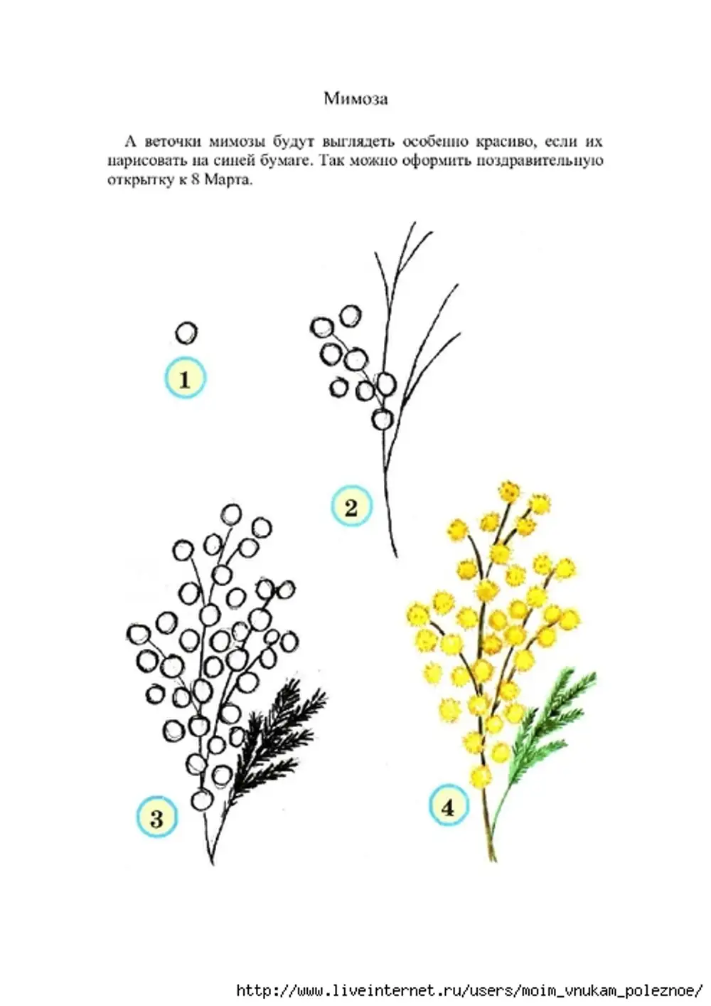 Мимоза рисунок для детей