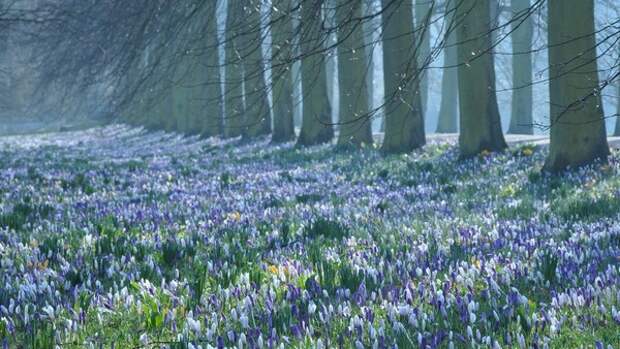 Вдохновение можно найти даже в прогнозе погоды. Представляем прогноз на 19 марта в Туле