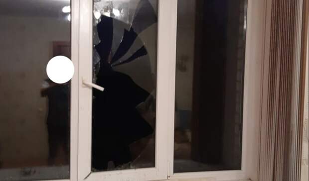 В Ростове-на-Дону на дом рухнуло дерево, в которое попала молния