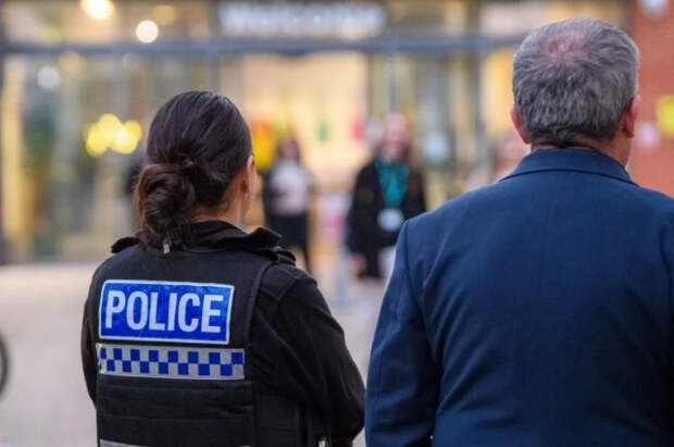 В Британии спасли 250 пуделей, живших у заводчика в антисанитарных условиях