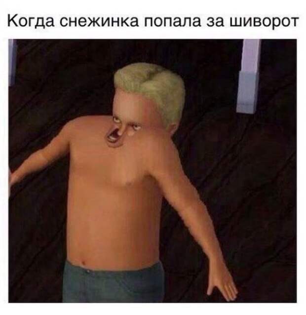 Прикольные фотомемы (27 фото)